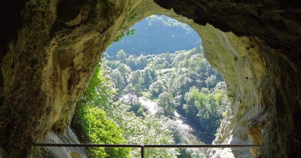 L'Echappee Au Jardin, Yourte Bucolique Godinne Exteriér fotografie